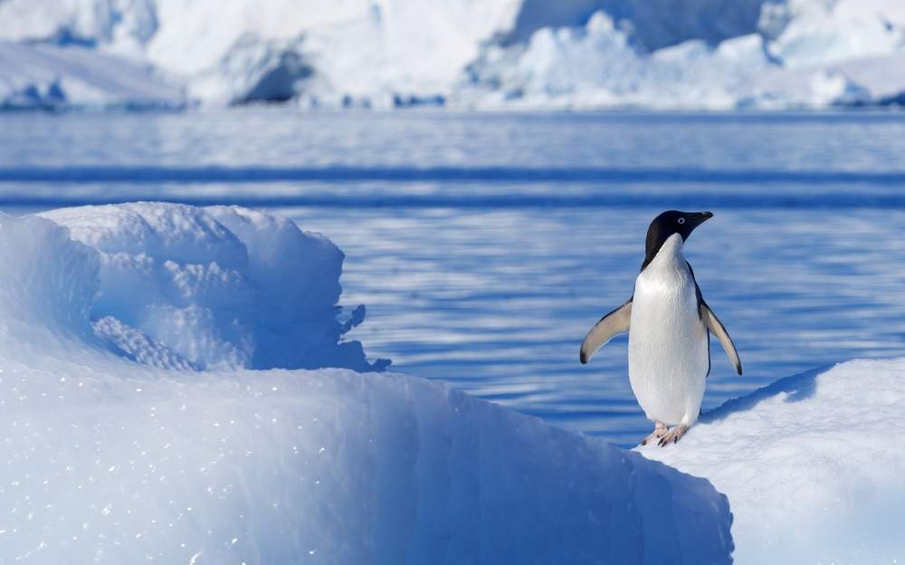 The Coldest Places on Every Continent BootsnAll Travel Articles