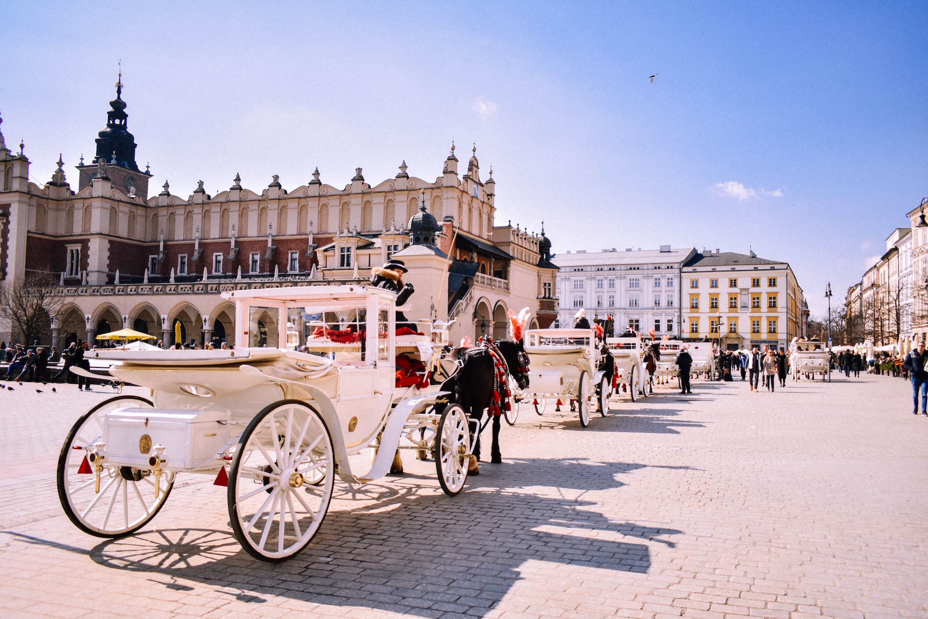 carriage Photo by Lucas Albuquerque on Unsplash