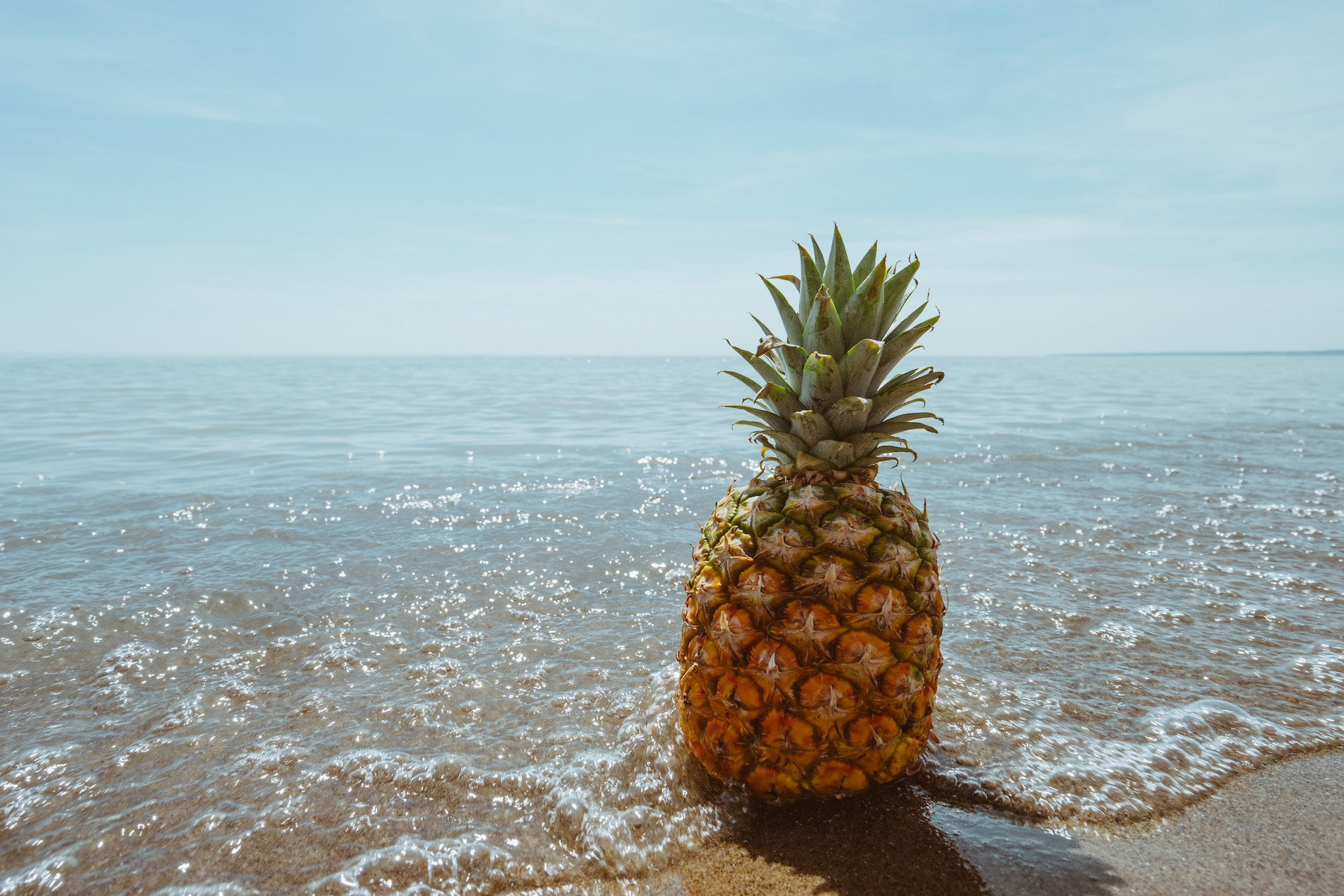 Photo by Pineapple Supply Co. on Unsplash