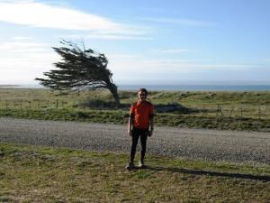 I think its usually quite windy here... this is the only tree for about 50 kilometers