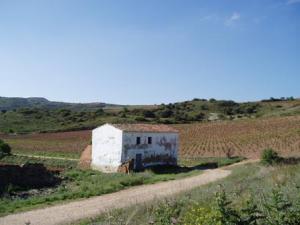 The Vineyards of La Rioja