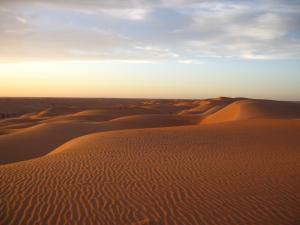 A breathtaking view over Saharan dunes