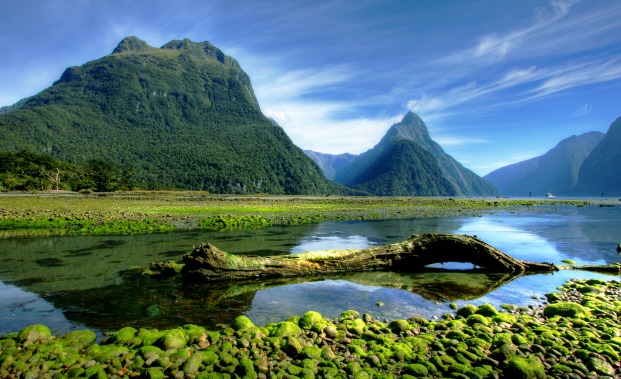New Zealand fjords