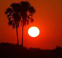 Kalahari sunset