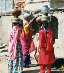 At the baori in Nawalgarh