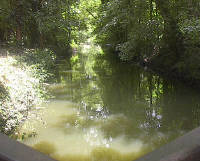 Loiret River