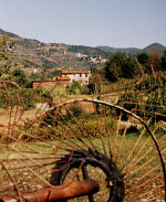 Farm in the hills