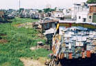 Shanty houses
