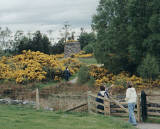 Culloden Moor and Battleground