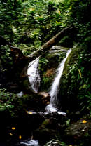 Waterfall on Totoga creek
