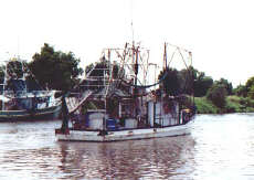 Boat on the Bayou