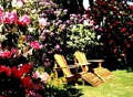 Mozart House gardens