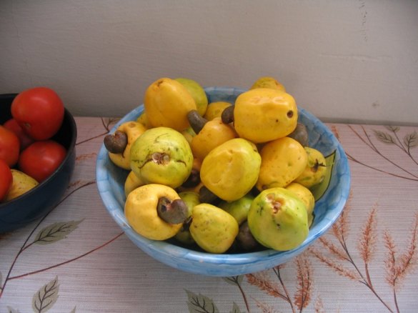 latin american fruits