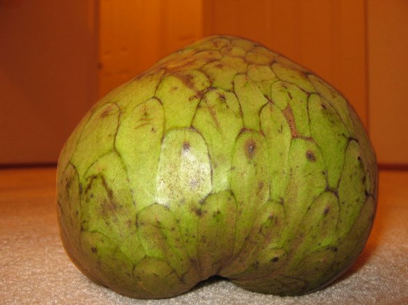 cherimoyas