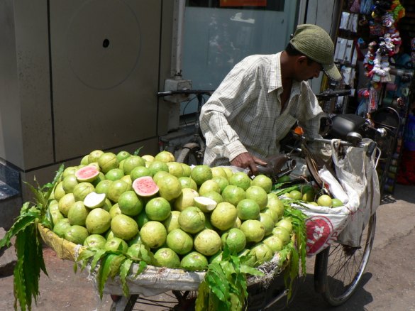 guavas