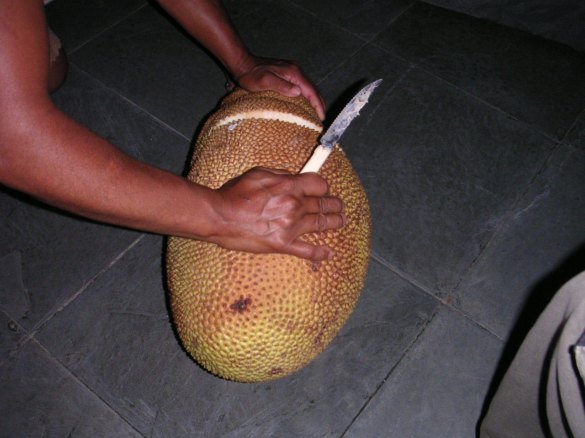 jackfruit