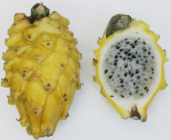 latin american fruits