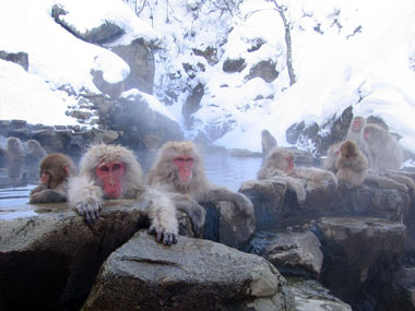 Don’t even think about taking a dip in these hot springs 