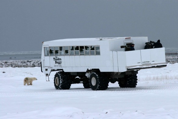 A Tundra Buggy