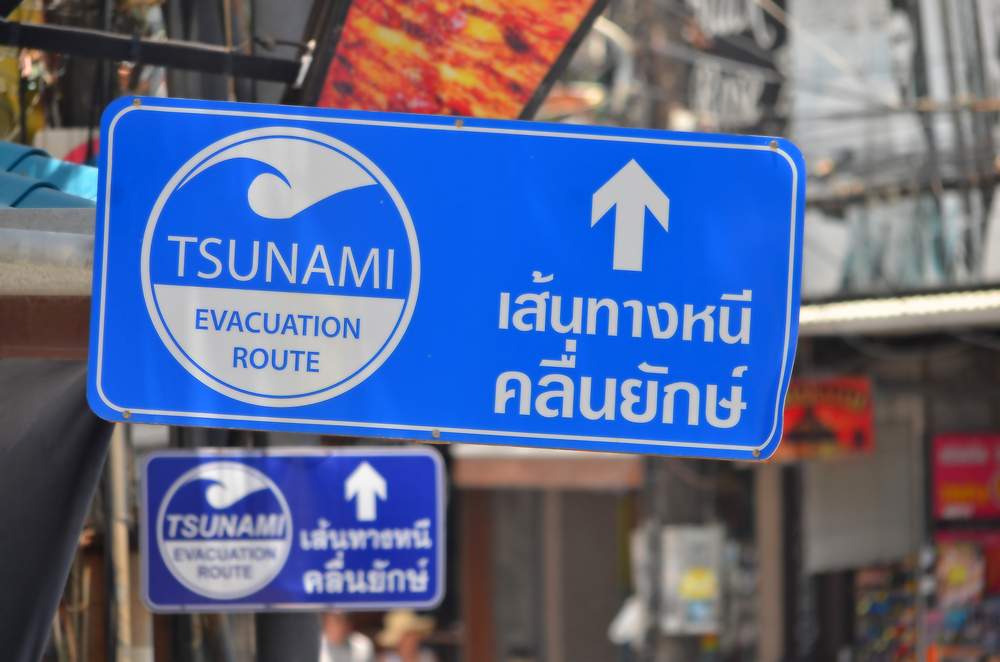 disaster- tsunami