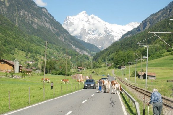 Drive to the site of the jump in the Bernese, Oberland