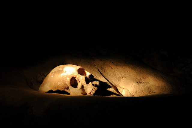 Skull