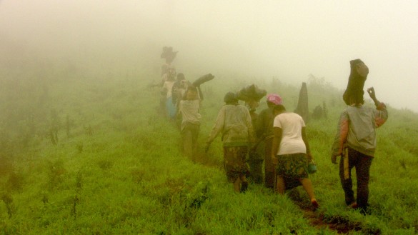 A line of women climbing back up the mountain, to reach their village