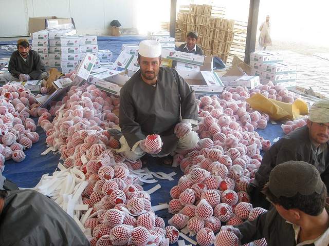 Pomegranates