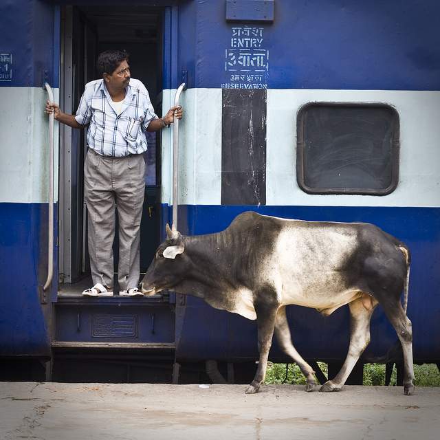 Train in India