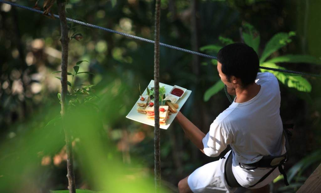 Treepod Dining