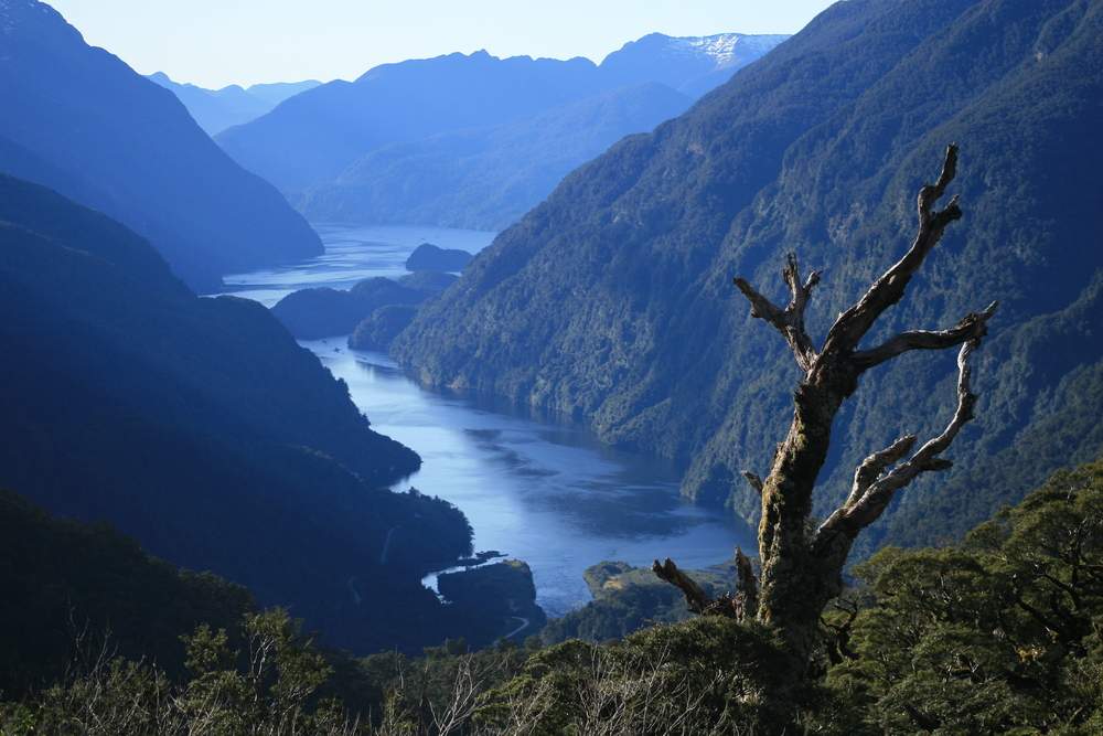 NZdoubtfulsound