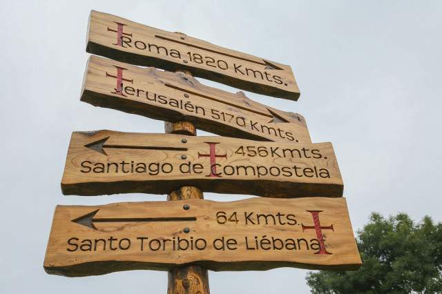 Camino signs