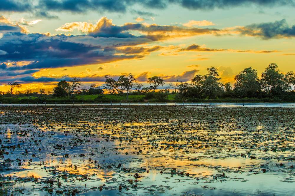 Pantanal by Filipe Frazao Shutterstock