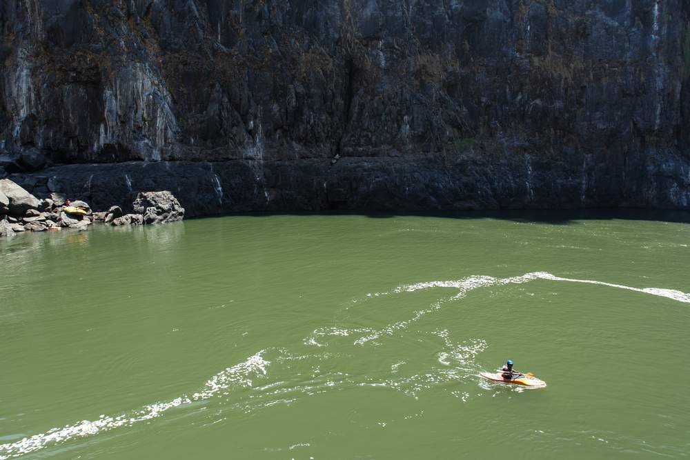 white-water raft down a river populated with dangerous animals in Africa