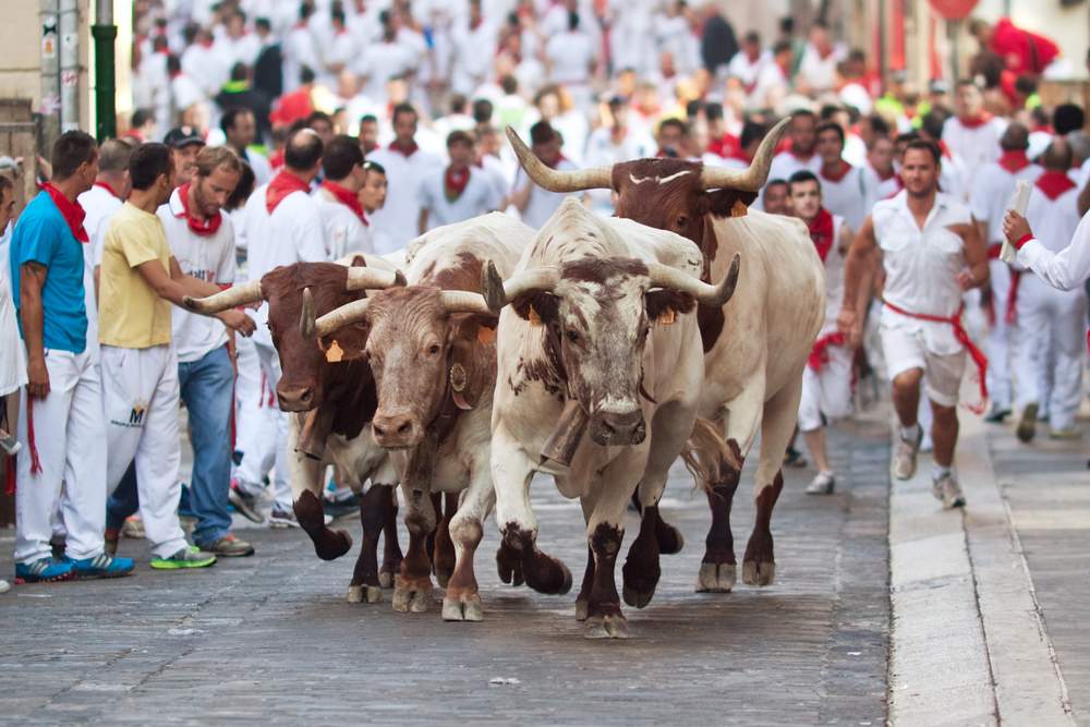 running with the bulls is the dangerous travel activity of a live time