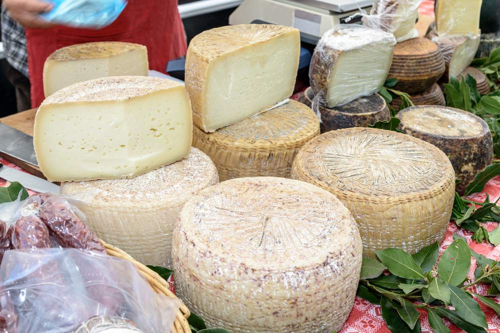 Italian cheese is used to make a sicilian delicacy, maggot cheese