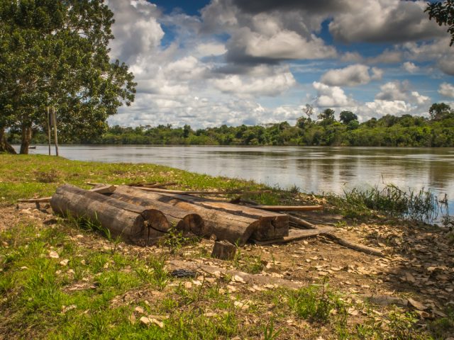 River in the Amazon jungle