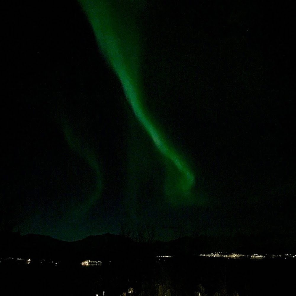 northern lights outside our window
